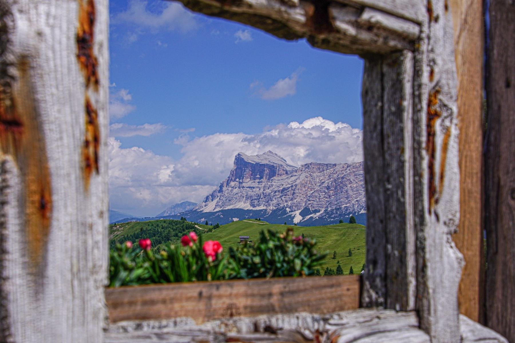 Landscape Landscape