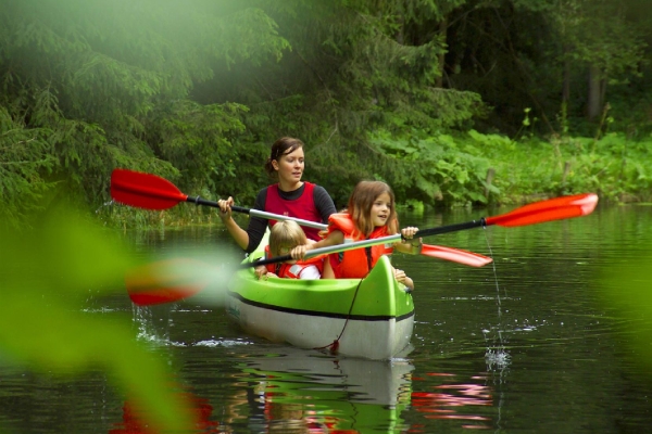 Apartment and Chalet  Apartment and Chalet