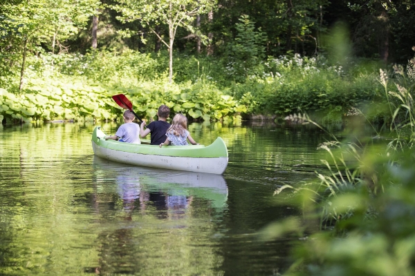 Apartment and Chalet  Apartment and Chalet