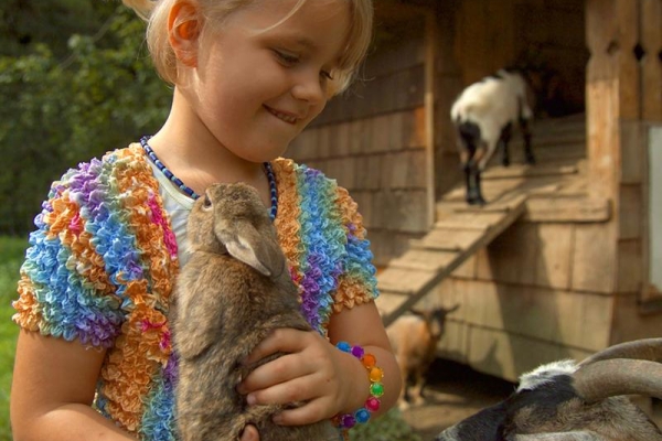 Apartment and Chalet  Apartment and Chalet