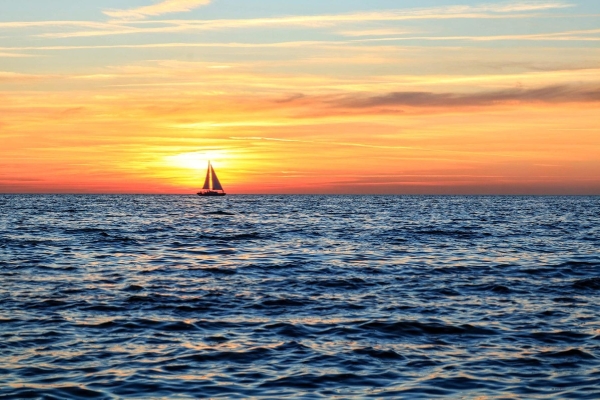 Miscellaneous © Pixabay/tommileew Miscellaneous © Pixabay/tommileew