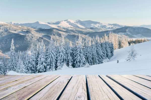 Miscellaneous|undefined  Miscellaneous|undefined