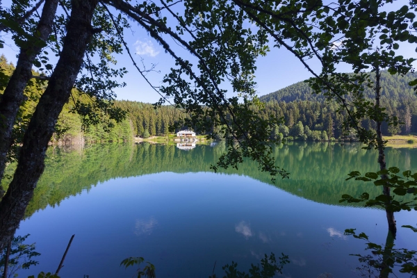 General Impressions © Freepik