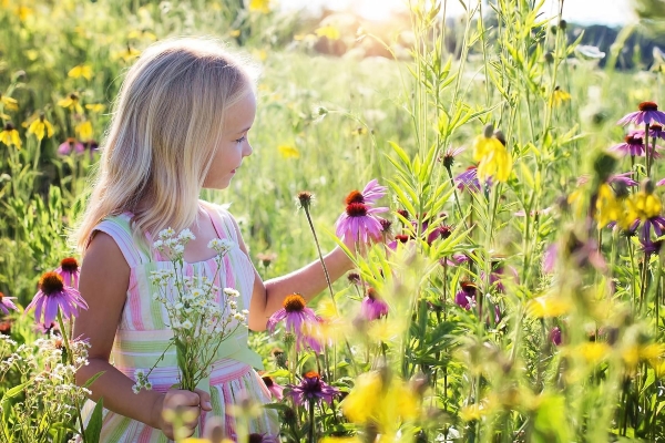 Miscellaneous|little-girl-2516578_1920.jpg