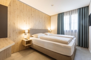 Apartment and Chalet 