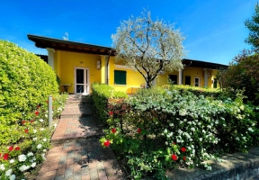 Apartment and Chalet 