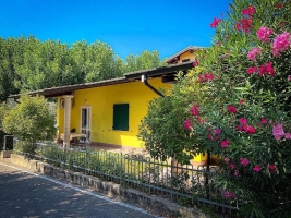 Apartment and Chalet 