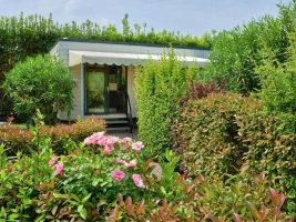 Apartment and Chalet 