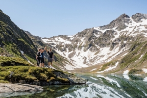 Apartment and Chalet 