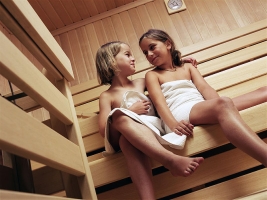 Apartment and Chalet  Apartment and Chalet