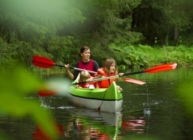 Apartment and Chalet  Apartment and Chalet