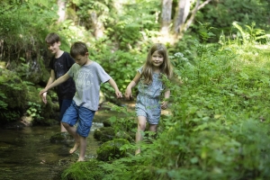 Apartment and Chalet  Apartment and Chalet