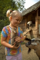 Apartment and Chalet  Apartment and Chalet