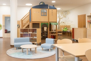 Apartment and Chalet 