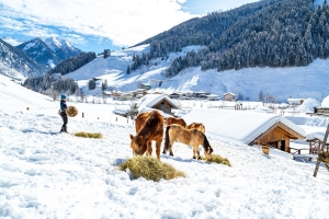 Recreational & Family Facility 