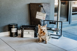 General Impressions  General Impressions