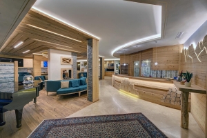 Apartment and Chalet  Apartment and Chalet