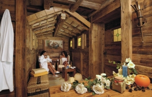 Apartment and Chalet  Apartment and Chalet