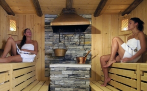 Apartment and Chalet  Apartment and Chalet