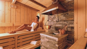 Apartment and Chalet  Apartment and Chalet
