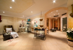 Spa and wellness 