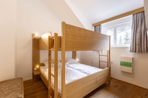 Apartment and Chalet 