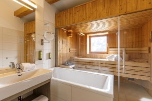 Apartment and Chalet 
