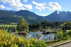 General Impressions  General Impressions