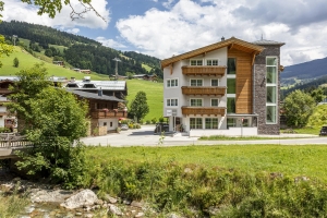 Apartment and Chalet 