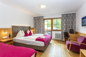 Apartment and Chalet 