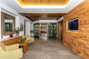Apartment and Chalet 