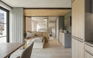 Apartment and Chalet 