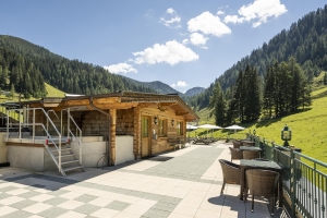 Apartment and Chalet 