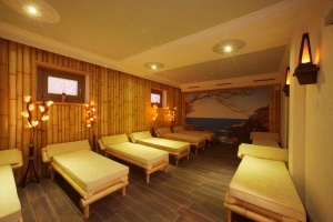 Spa and Wellness 
