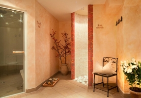Spa and wellness 