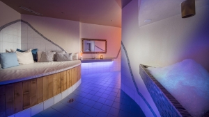 Spa and Wellness 