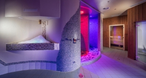 Spa and Wellness 