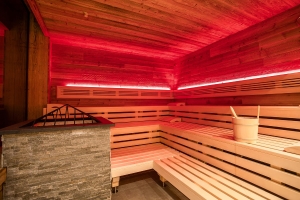 Spa and Wellness 