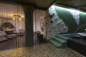 Spa and Wellness 