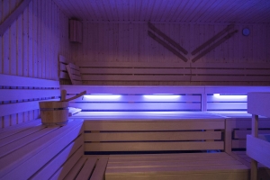 Spa and Wellness 