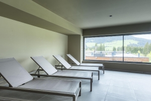Spa and Wellness 