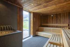 Spa and Wellness 