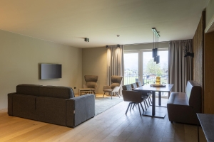 Apartment and Chalet 