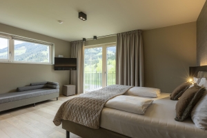 Apartment and Chalet 
