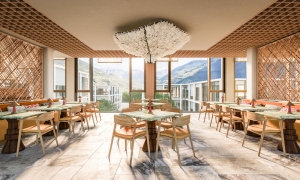 Apartment and Chalet 