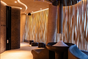 Spa and Wellness 