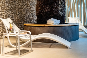 Spa and Wellness 