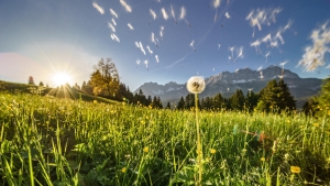 Landscape © EA Foto