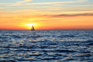 Miscellaneous © Pixabay/tommileew Miscellaneous