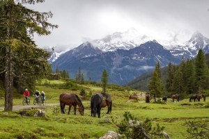 Landscape © Wildkogel-Arena Neukirchen und Bramberg